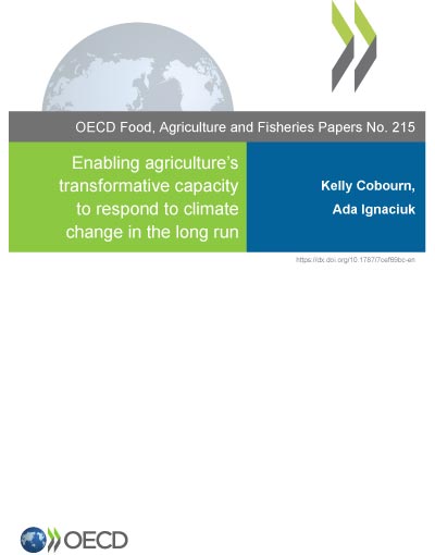 Enabling agriculture’s transformative capacity to respond to climate change in the long run