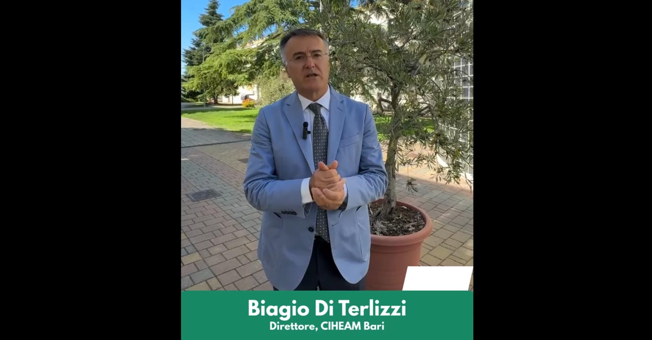 Biagio Di Terlizzi, Direttore CIHEAM Bari