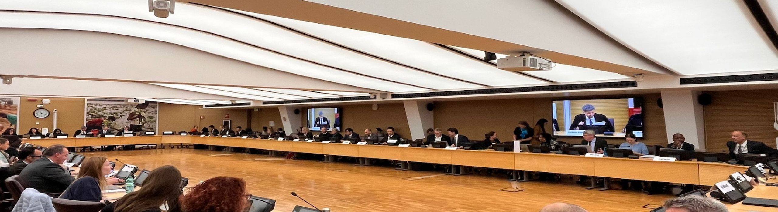 One Water presente al 43° UN-Water Meeting