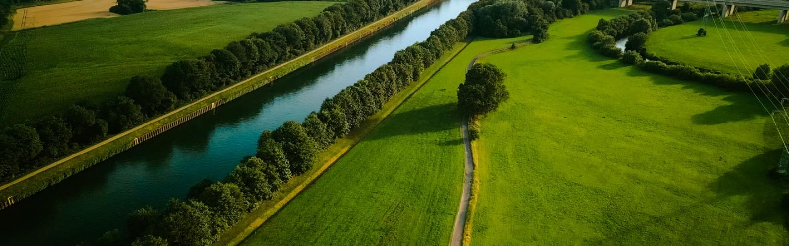 Fall in Love with Commune