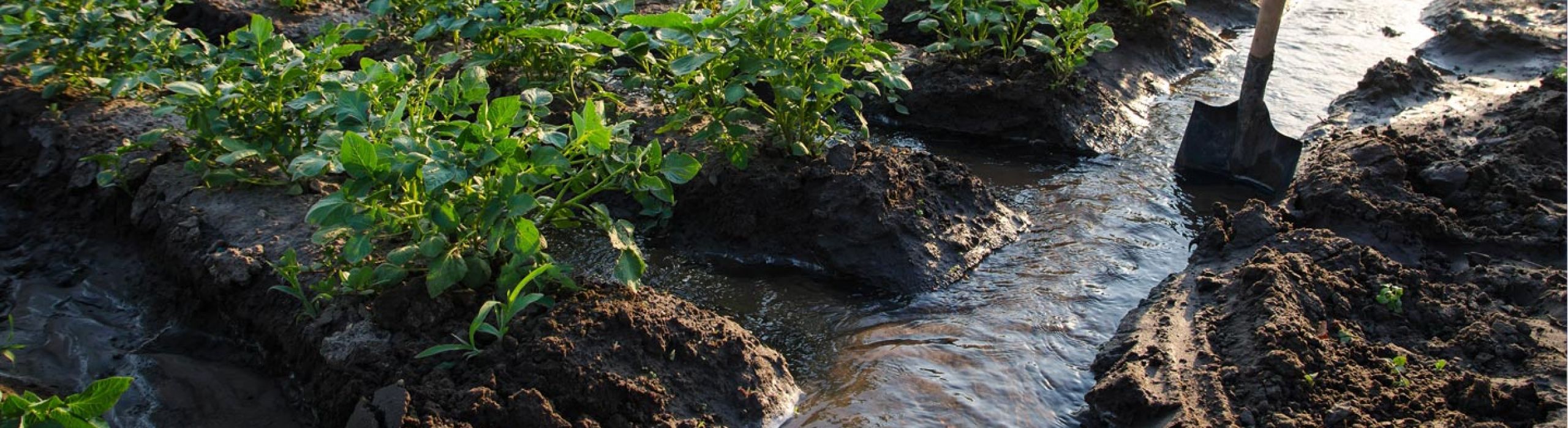 Agricoltura e multiutilities al “4th Italian Water Dialogue” il 22 ottobre all’interno del Festival della Diplomazia