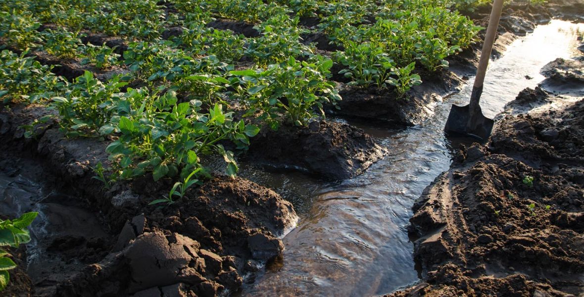 Agricoltura e multiutilities al “4th Italian Water Dialogue” il 22 ottobre all’interno del Festival della Diplomazia