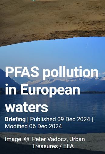 PFAS pollution in European waters
