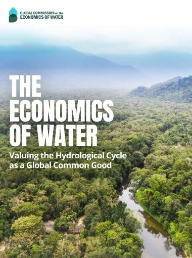 Economics of water